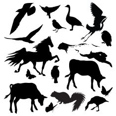Animal & Bird Silhouette Set