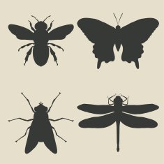 insects icon set