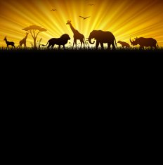 African safari N2