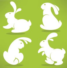 white Easter rabbits