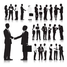 Interactive Organization N2