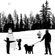 SnowShow N2