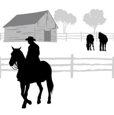 Rancher