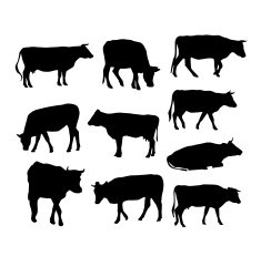 cow set black silhouette on white background vector