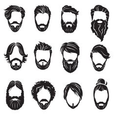 set of beards and hairs N2
