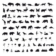 Set icons elements vector illustration