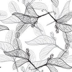 Leaves contours on a white background floral seamless pattern hand-drawn