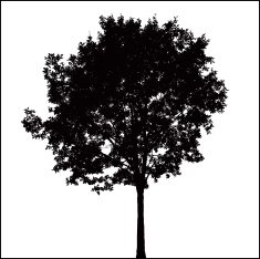 Tree Silhouette 08