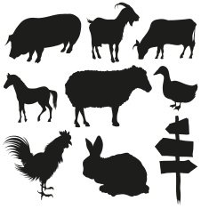 Farm animals set
