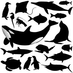 Ocean Animal Silhouettes N2