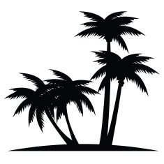 Palms N2