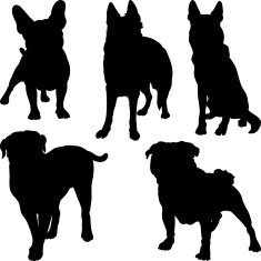 vector silhouettes of different breeds dogs in various poses