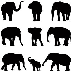 elephants silhouette