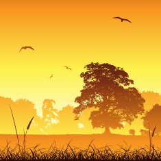 Meadow Landscape N2