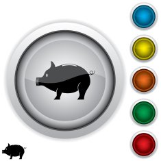 Piggy Bank Icon N9