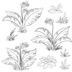 Flowers and grass set contours