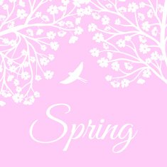 blooming tree and birds