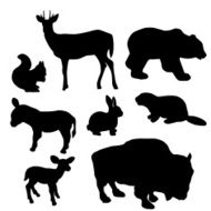 BeaverBuffalo