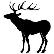 Deer N26