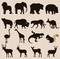 Wild Animals N17