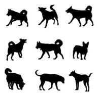 Good dogs