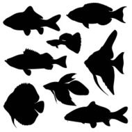 Fishes Silhouettes N2