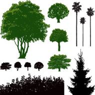 trees N13