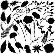 Vector silhouette of different flowers