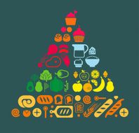 Food Pyramid N21