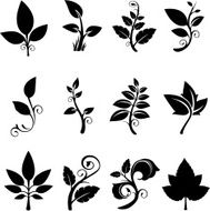 silhouette of leaf concepts