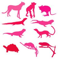 Awesome collection of animals