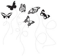 Butterfly Silhouette N8