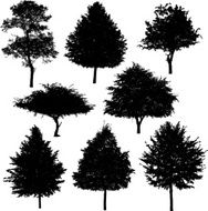 Tree silhouette collection 3