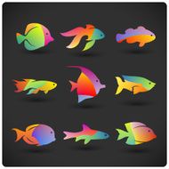 Aquarium fishes