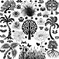 Trees and plants N2
