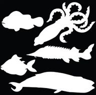 vector silhouette of different fish