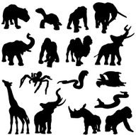 African animals in silhouette