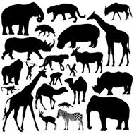 African Animals N12