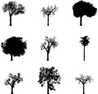 Set Of Trees N4