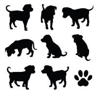 Puppy N12