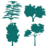 tree silhouettes - vector