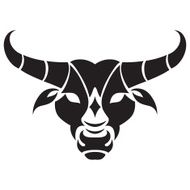 Taurus zodiac sign N7