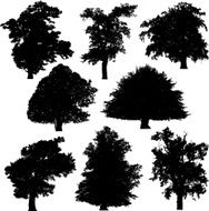 Tree silhouette collection 2