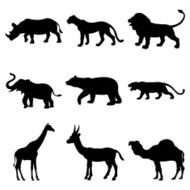 Animals N74