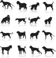 Dog Icon Set