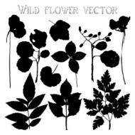Set silhouettes of wild flowers vector N5