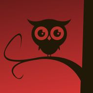 Owl On Tree Branch N3