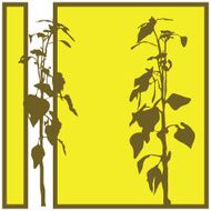 Plant Silhouette N8