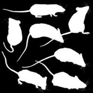 Mice Silhouettes