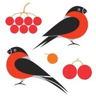 Bullfinch